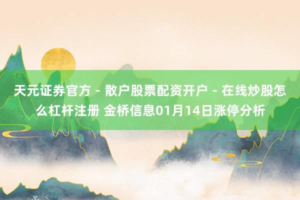 天元证券官方 - 散户股票配资开户 - 在线炒股怎么杠杆注册 金桥信息01月14日涨停分析