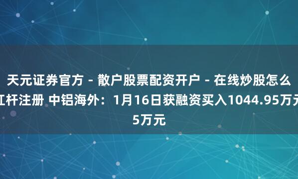 天元证券官方 - 散户股票配资开户 - 在线炒股怎么杠杆注册 中铝海外：1月16日获融资买入1044.95万元