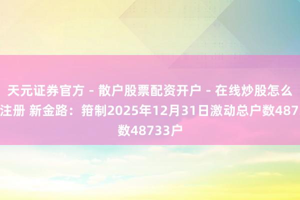 天元证券官方 - 散户股票配资开户 - 在线炒股怎么杠杆注册 新金路：箝制2025年12月31日激动总户数48733户